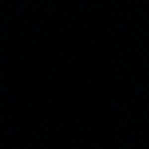 Meet your Posher, Carter